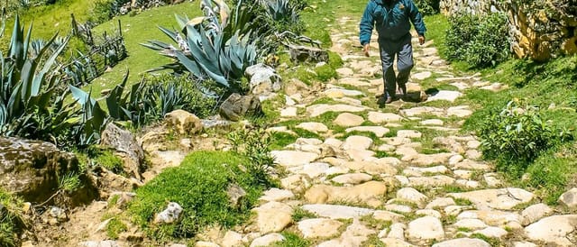 Qhapaq Ñan Palca